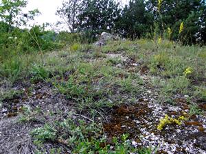 pohlad na mikro lokalitu B